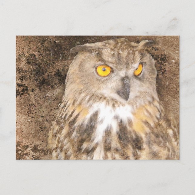 Eagle Owl Rugged Background Postcard (Front)
