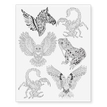 Eagle Owl Scorpion Frog Zebra Coloring