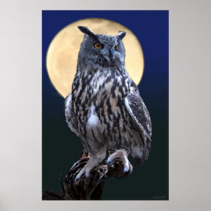 Eagle Owl Watercolor Poster -24x36 -or smaller