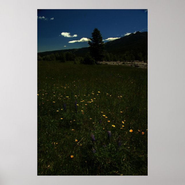 Eagle Park Wildflowers Poster (Front)