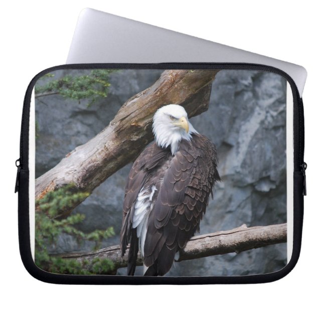 Eagle Perch Electronics Bag (Front)