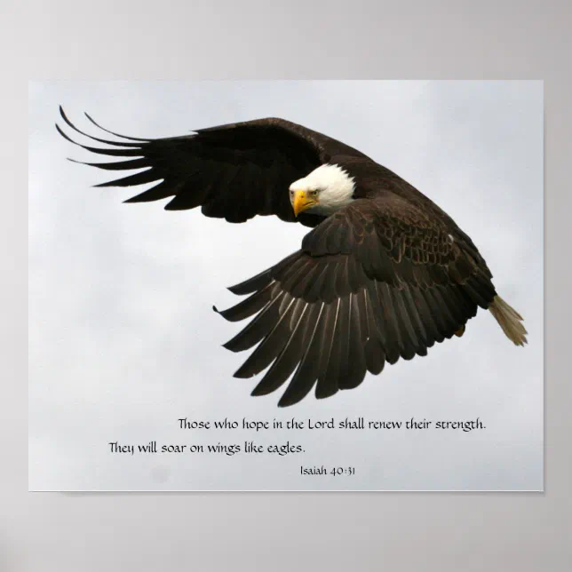 Eagle Photo with Bible Verse Poster | Zazzle