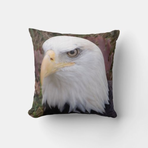 Eagle pillow