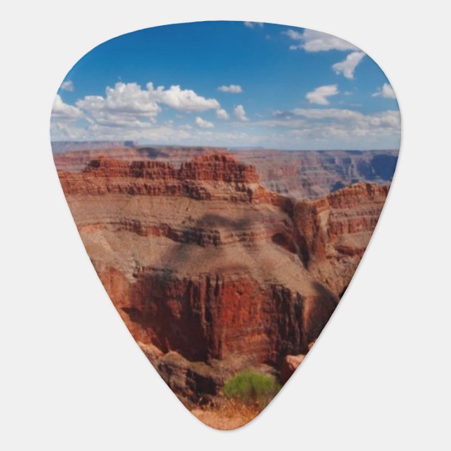 Eagle Point Guitar Pick (Front)