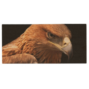 Eagle portrait isolated on black wood flash drive