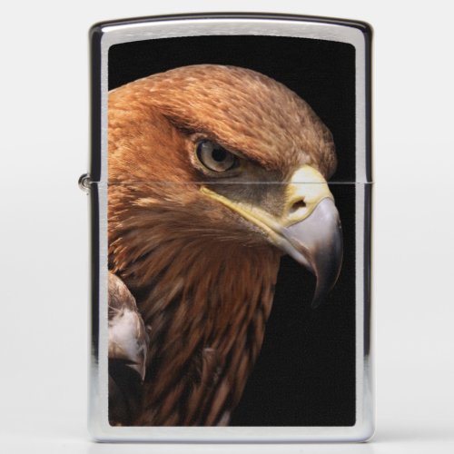 Eagle portrait isolated on black zippo lighter