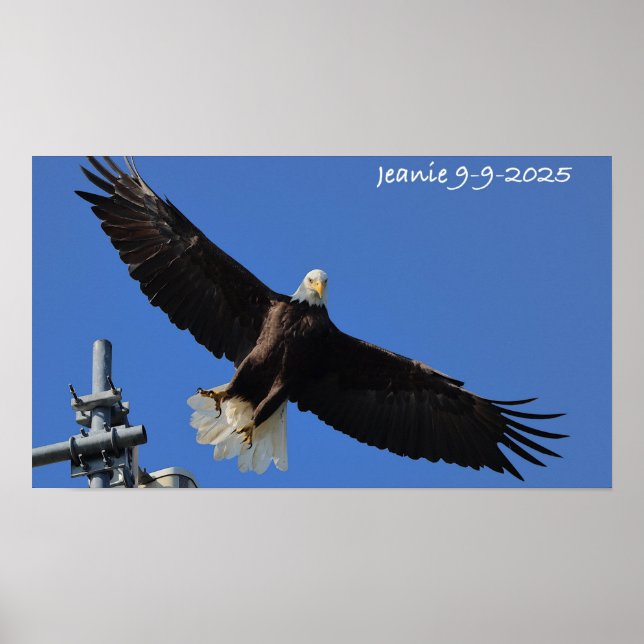 Eagle Poster (Front)