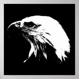Eagle Poster
