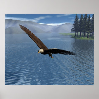 Eagle Poster