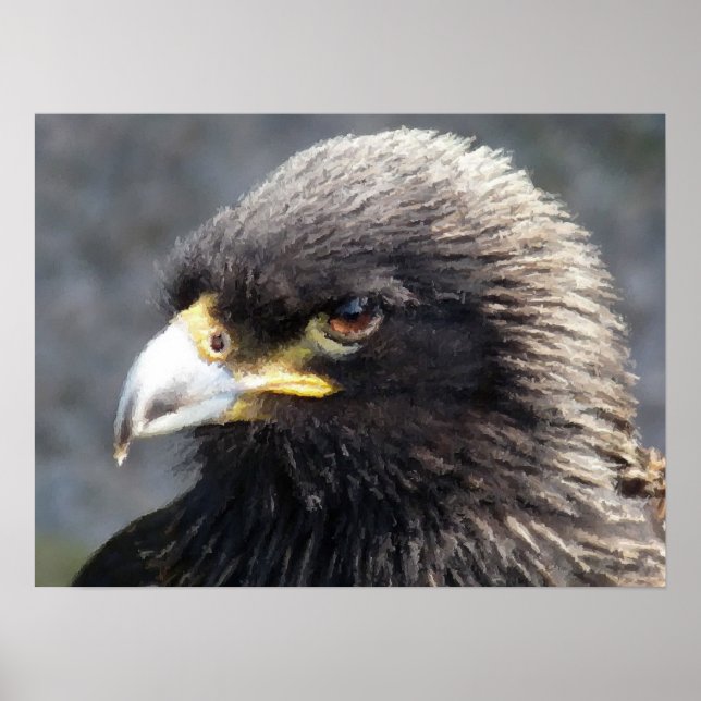 EAGLE POSTER (Front)