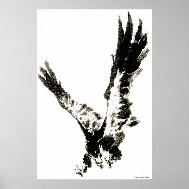 Eagle Print (Front)