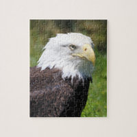 Eagle Puzzle
