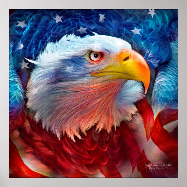 Eagle - Red White Blue Fine Art Poster/Print Poster (Front)