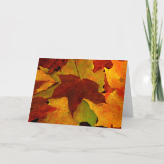 Eagle River Autumn Card