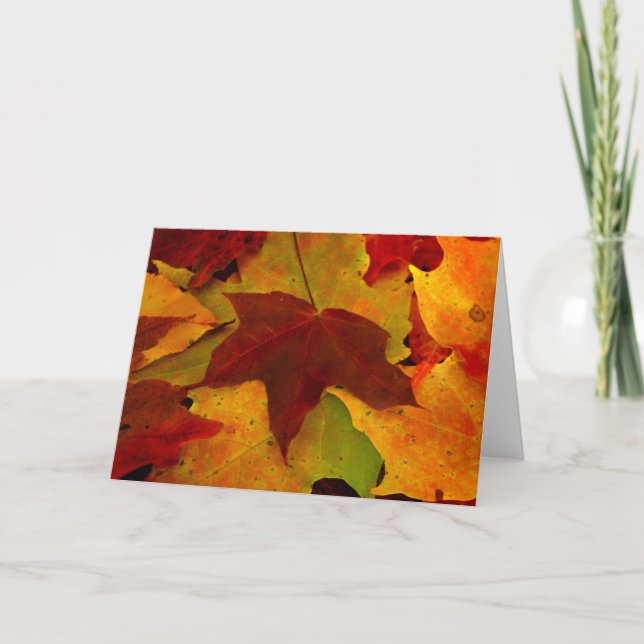 Eagle River Autumn Card (Front)
