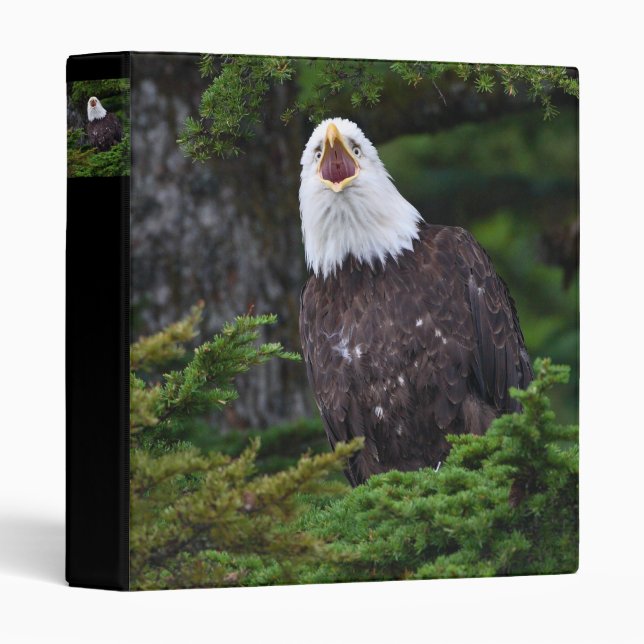 eagle screaming 3 ring binder (Front/Spine)