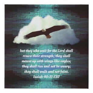 3dRose lsp_30756_6 Two Plug Outlet Cover with Isaiah 40:31 Bible Verse with Eagle Engraved Into a Copper Background 3dRose lsp_30756_6 Two Plug Outlet Cover with Isaiah 40:31 Bible Verse with Eagle Engraved Into a Copper Background