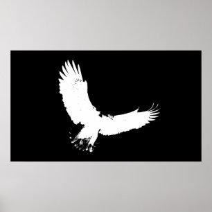 Eagle Silhouette Poster Print Bald Eagle in Flight