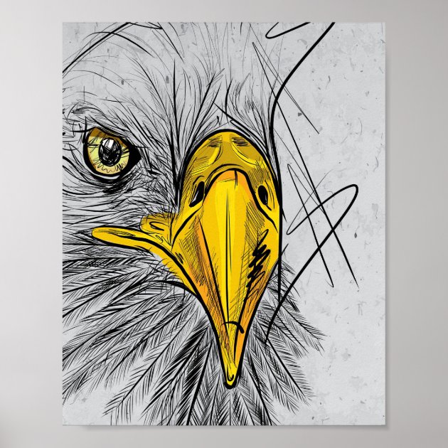 Illustration: Bald Eagle :: Behance