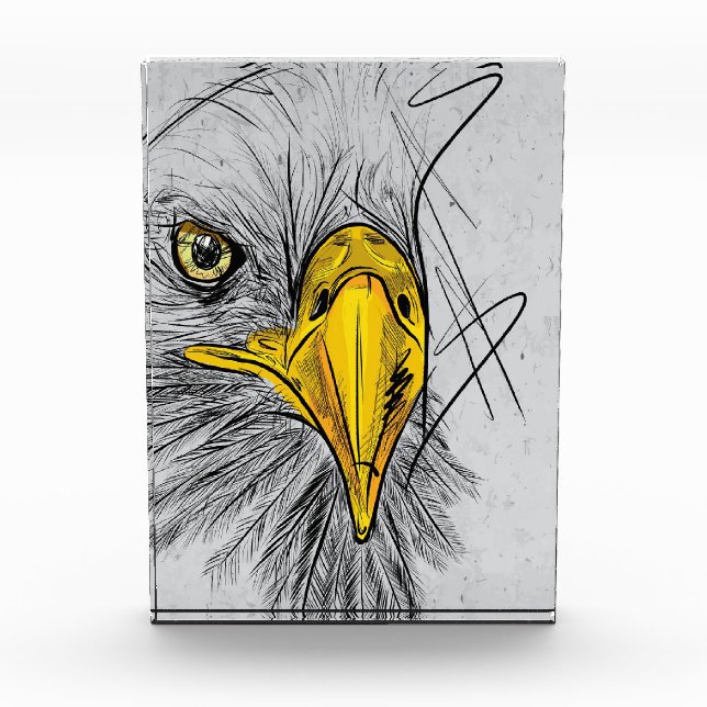 Eagle Sketch Face Wall Art Photo Block (Front)