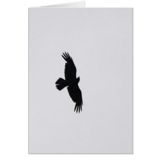 Eagle Soar Cards
