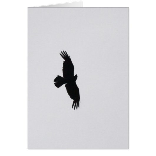 Eagle Soar Cards (Front)