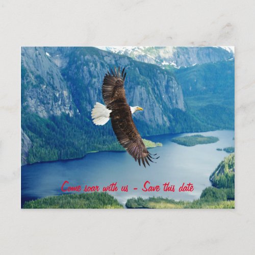 Eagle soaring Invitation Postcard