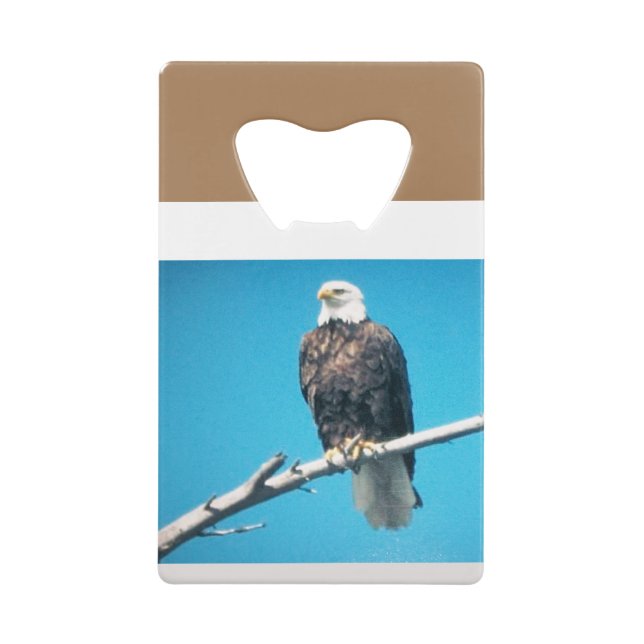 Eagle Stainless Steel Credit Card Bottle Opener (Front)