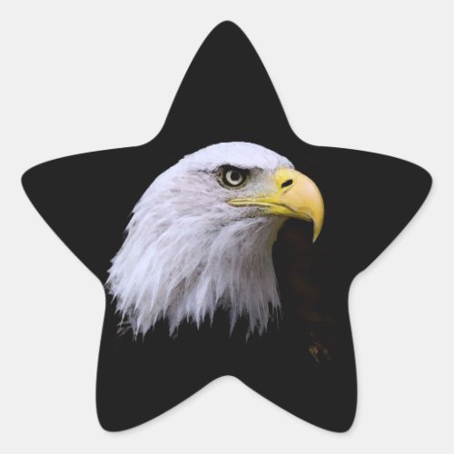 Eagle Star Sticker