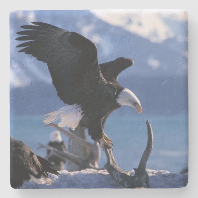 Eagle Stone Coaster (Front)