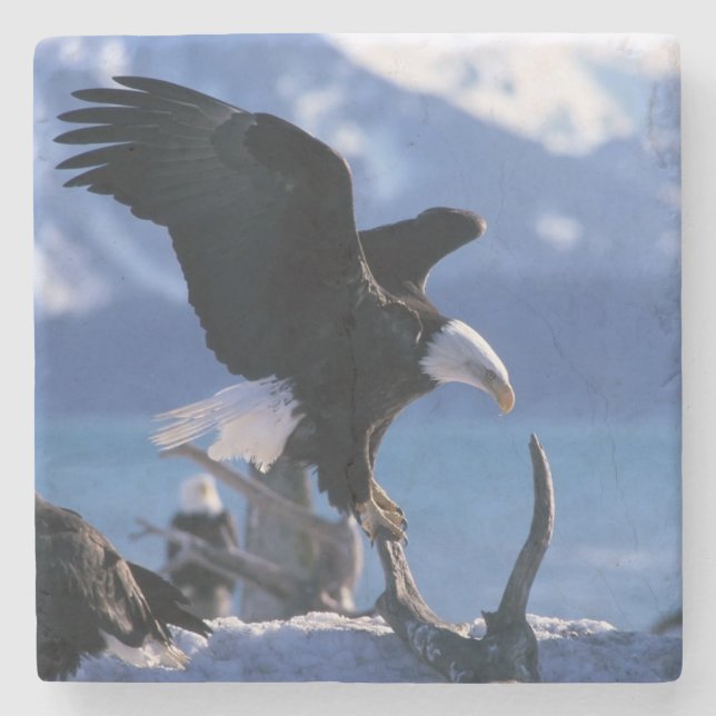 Eagle Stone Coaster (Front)