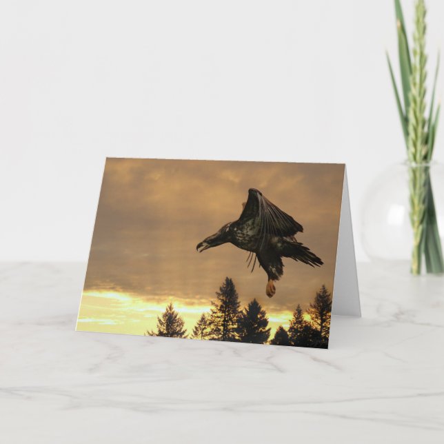 Eagle Sunrise Greeting Card (Front)