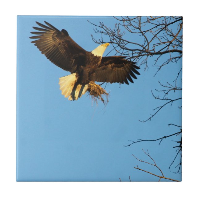 Eagle Sunset Wings Ceramic Tile (Front)