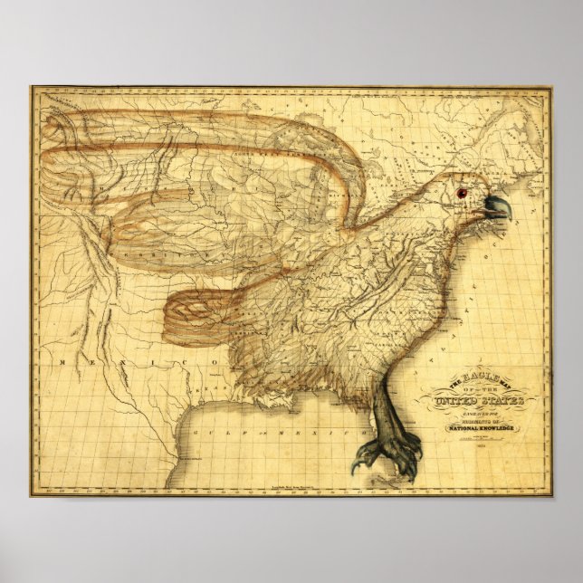Eagle Superimposed on the United States Poster (Front)