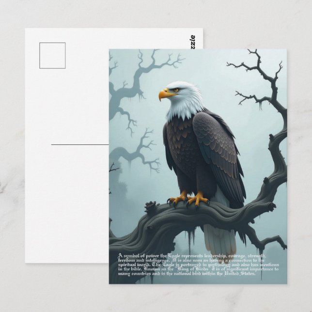 Eagle Symbolism Postcard (Front/Back)