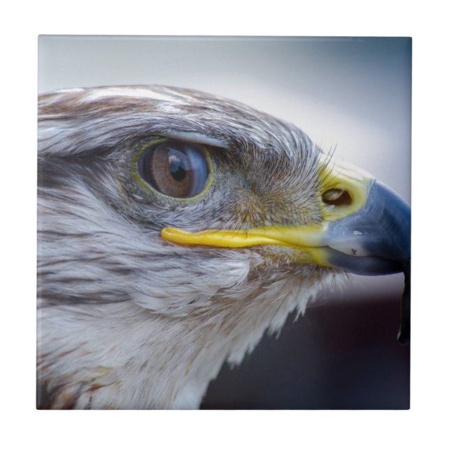 Eagle Tile (Front)