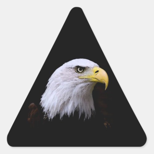 Eagle Triangle Sticker