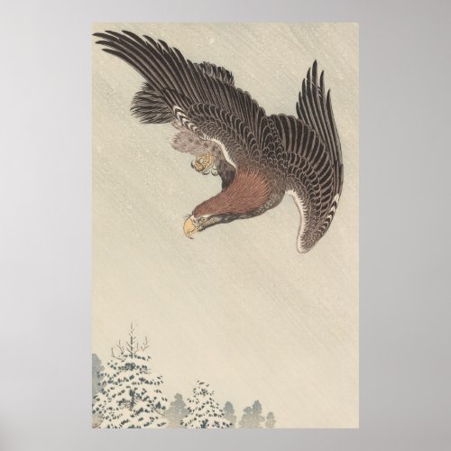 Eagle Vintage nature bird wildlife painting Poster