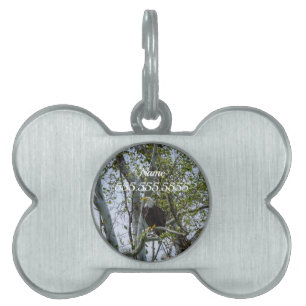Eagle Watch Out Pet ID Tag