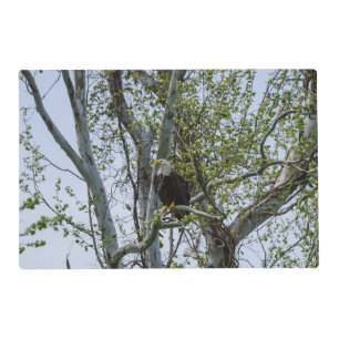 Eagle Watch Out Placemat