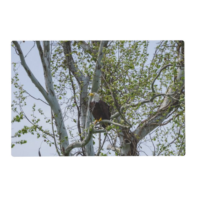 Eagle Watch Out Placemat (Front)