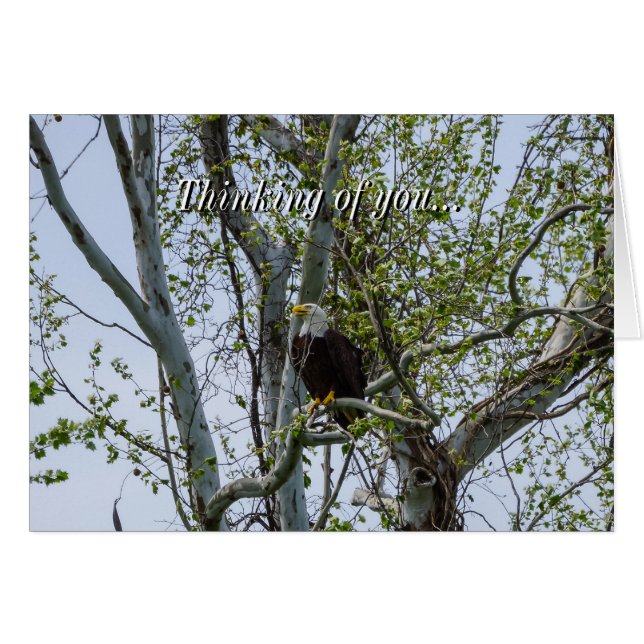 Eagle Watch Out Thinking Of You Card (Front Horizontal)
