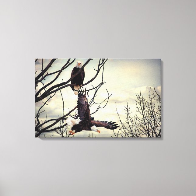 Eagle Watching Eagle Canvas Print (Front)