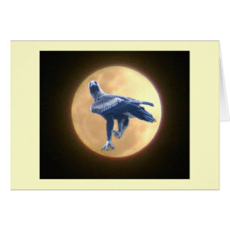 Eagle Wildlife Cards