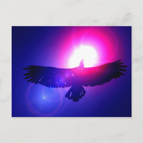 Eagle Wings _ Eagle in Flight Postcard