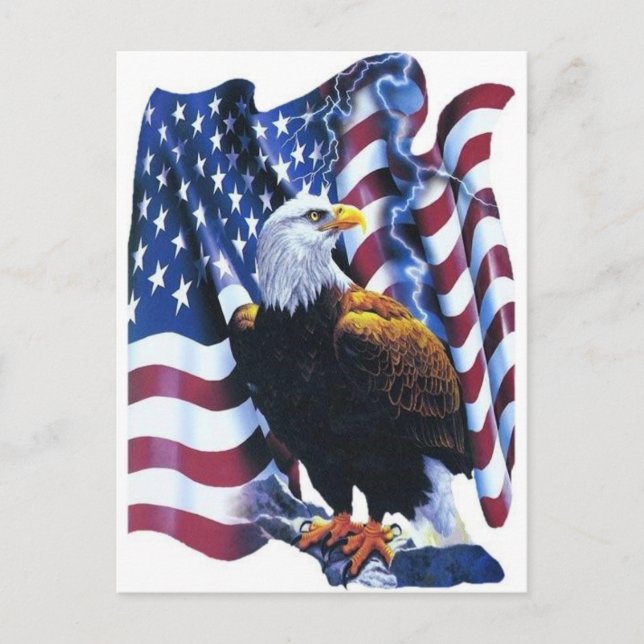 Eagle with American flag Postcard (Front)