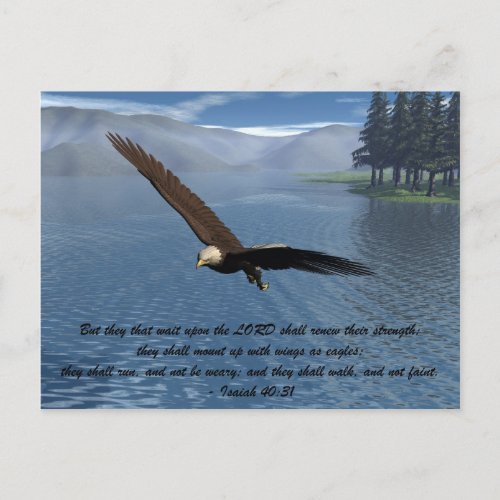 Eagle with Scripture Postcard