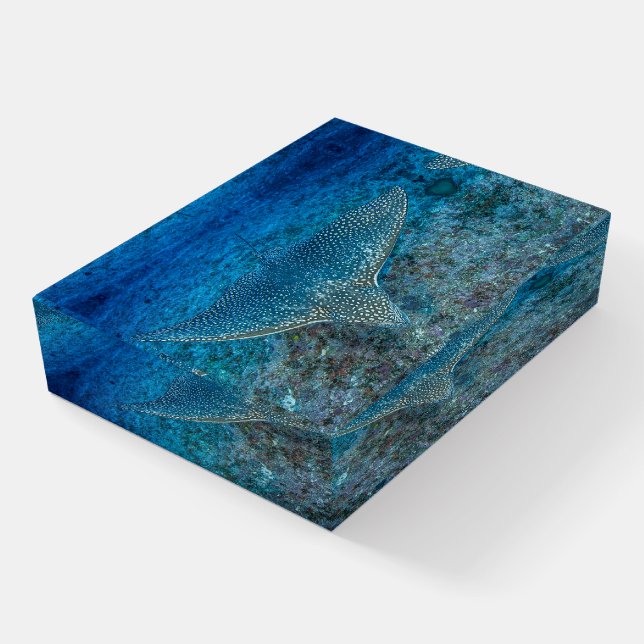 EagleRay001 イーグルレイ Paperweight (Angled)