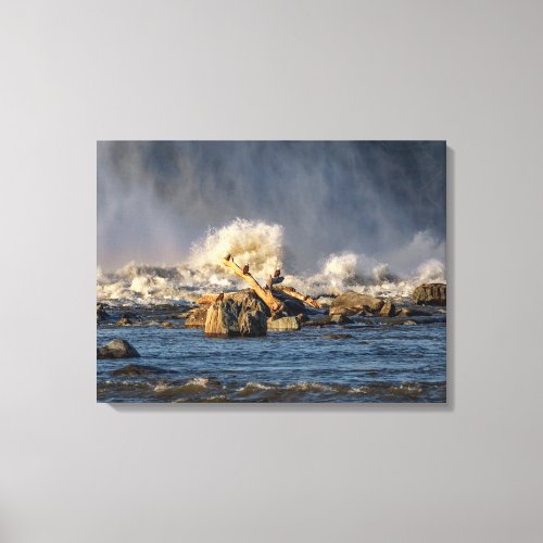 Eagles And Rough Water Canvas Print