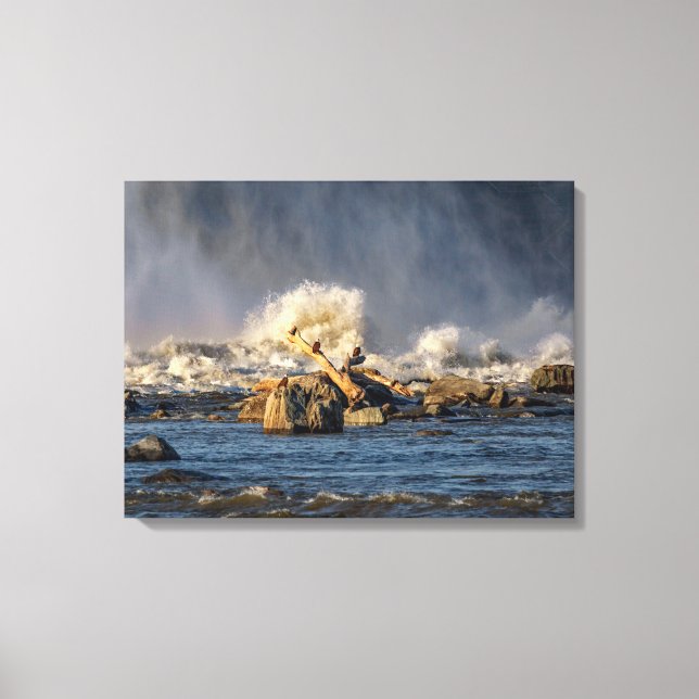 Eagles And Rough Water Canvas Print (Front)